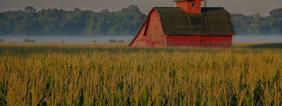 farm and crop insurance in Canadian or Amarillo STATE | Texas Preferred Insurance